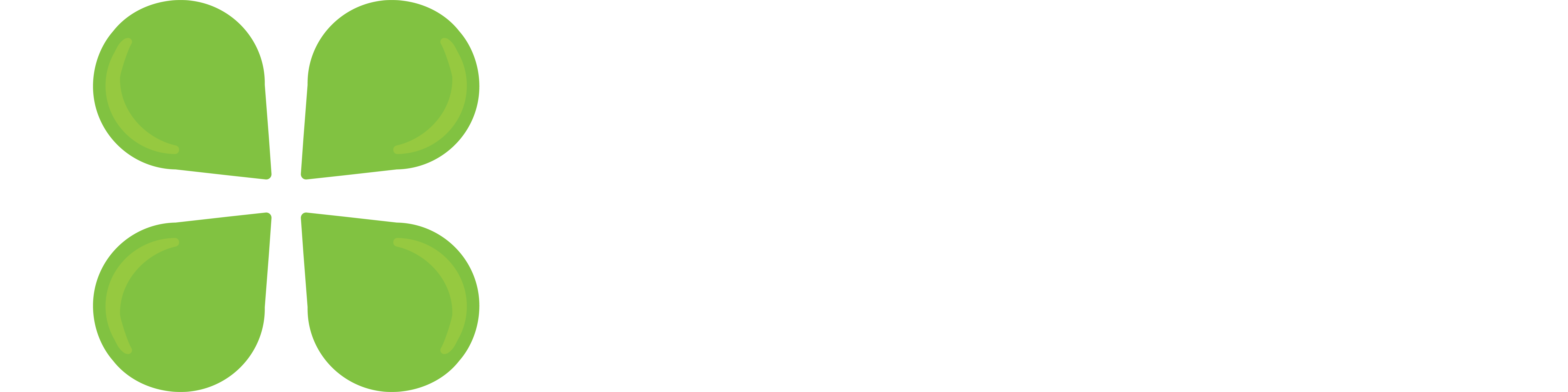 Stanel Group